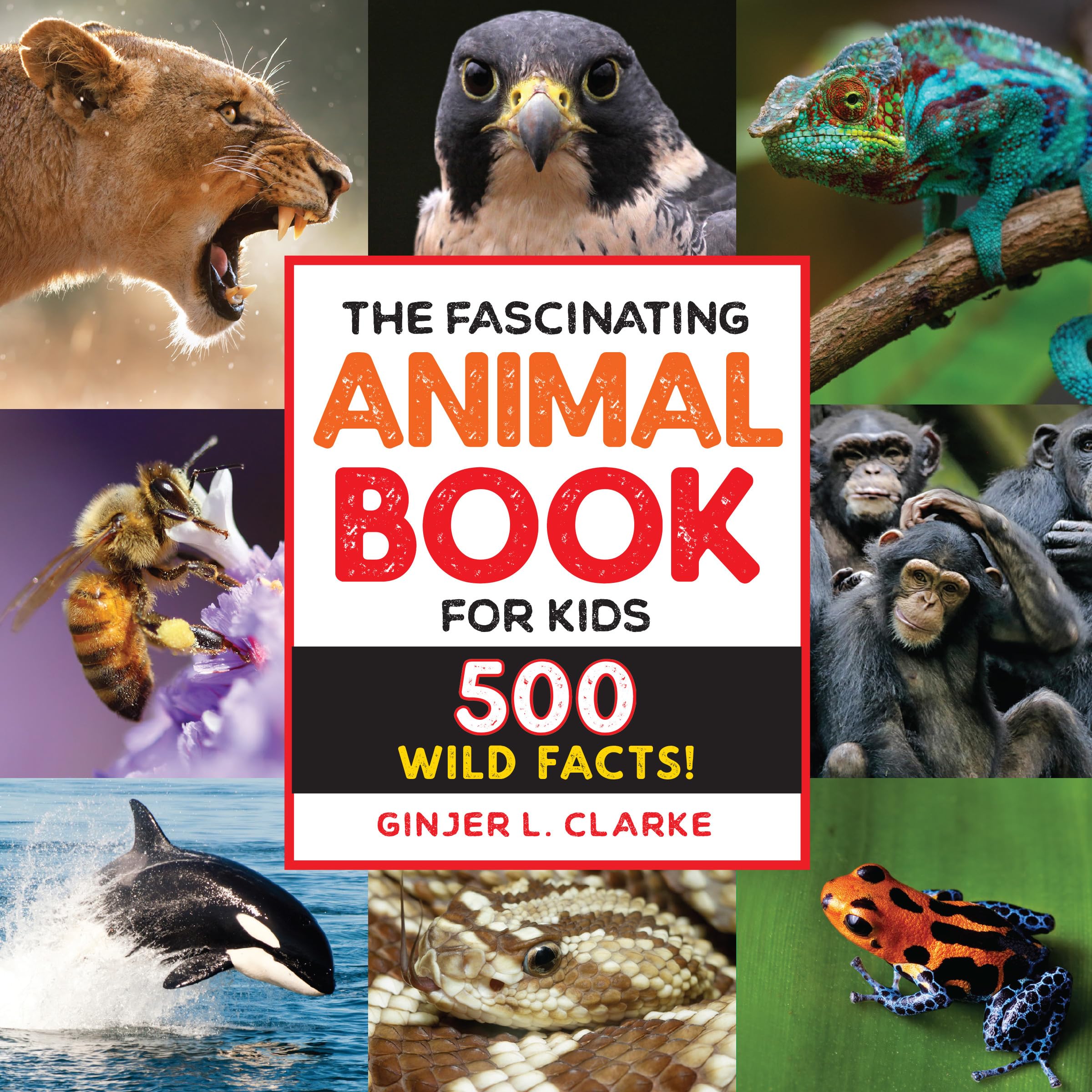 Fascinating Animal Book for Kids: 500 Wild Facts! - Educational for Kids Ages 6-12 in School and At Home - Perfect Gift